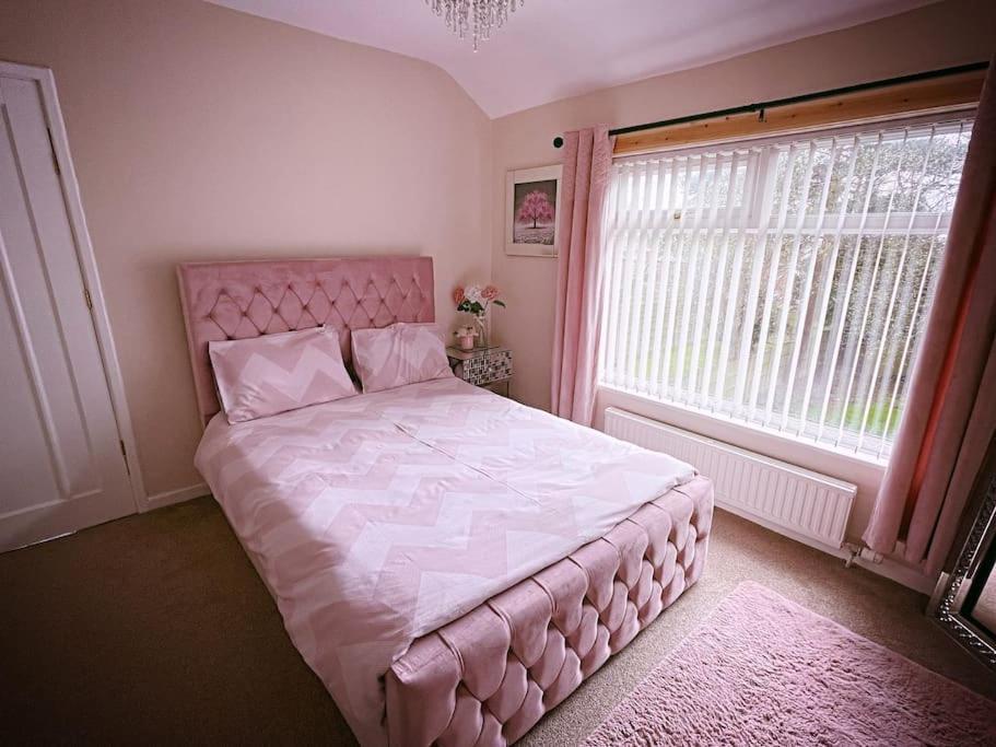 Entire 3 Bed In